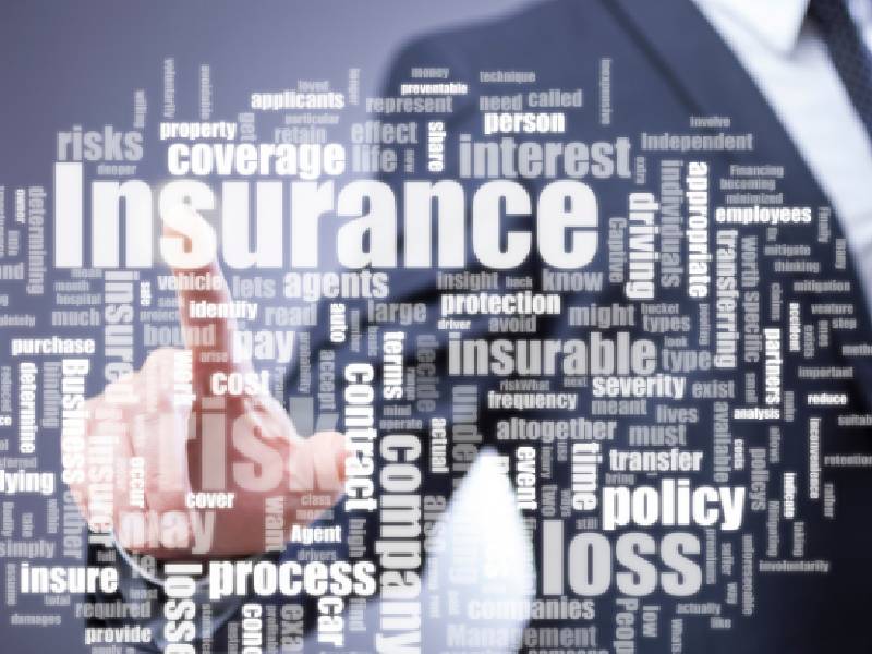 Insurance Growth Point Insurance Team